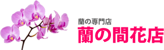 胡蝶蘭販売.com｜蘭の間花店